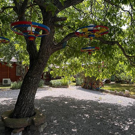 Villa Borovitsa المظهر الخارجي الصورة